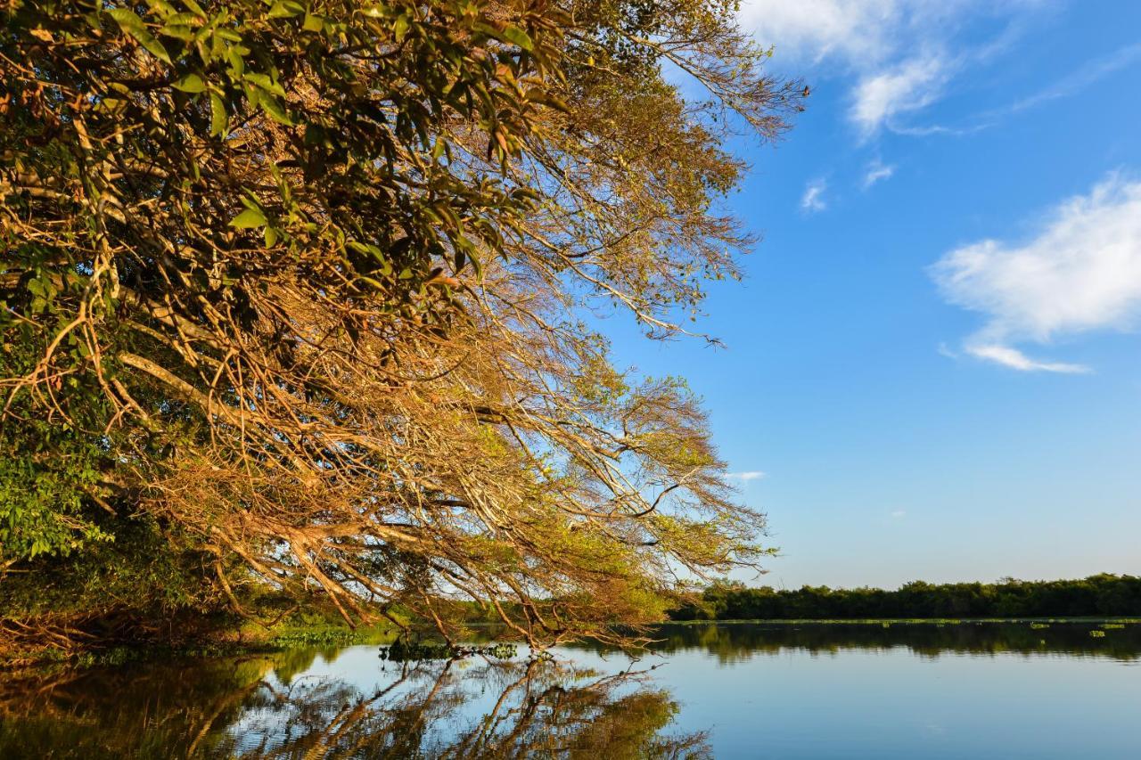 Pousada Rio Claro Poconé Zewnętrze zdjęcie