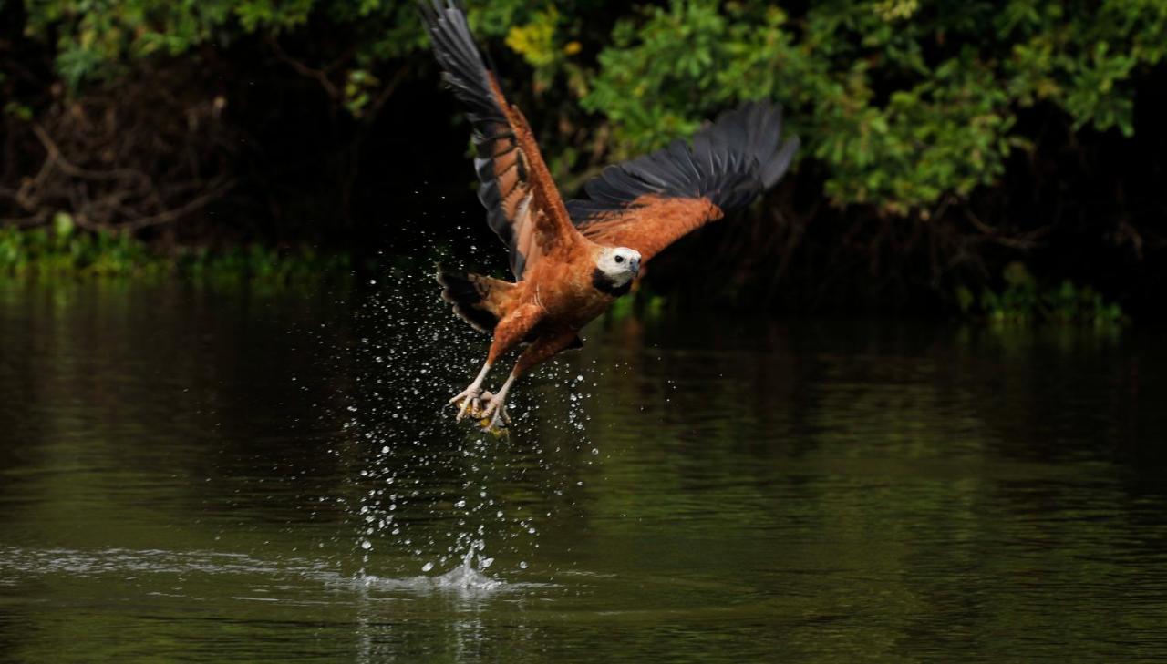 Pousada Rio Claro Poconé Zewnętrze zdjęcie